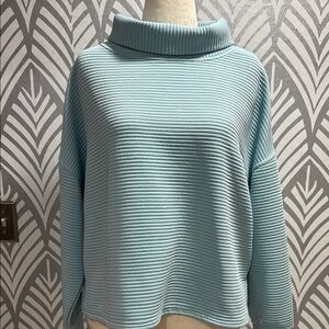 Danskin Cozy Ribbed  Cropped Turtleneck Sweater - Light Blue